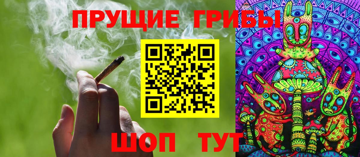 Псилоцибиновые грибы Cubensis Волгоград