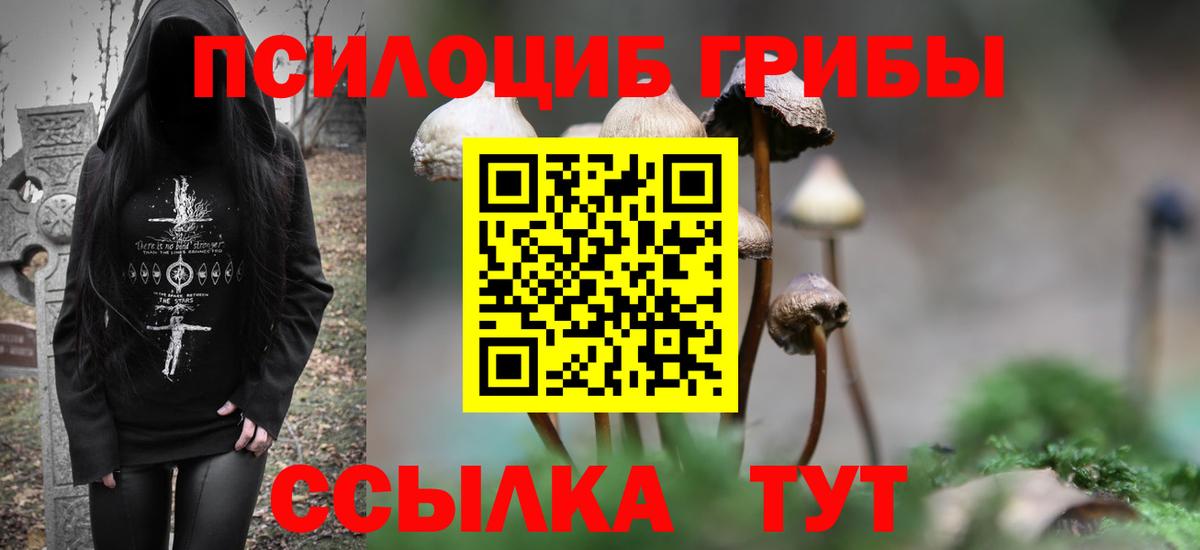 Псилоцибиновые грибы мицелий  хочу   Волгоград  Вход с VPN 
